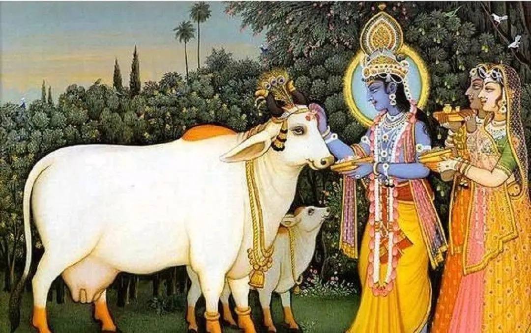 ”:奇葩习俗刷新三观愚昧无知让人发指澳门新葡京网站印度真不愧是“人间炼狱(图3) ”:奇葩习俗刷新三观愚昧无知让人发指澳门新葡京网站印度真不愧是“人间炼狱(图3)