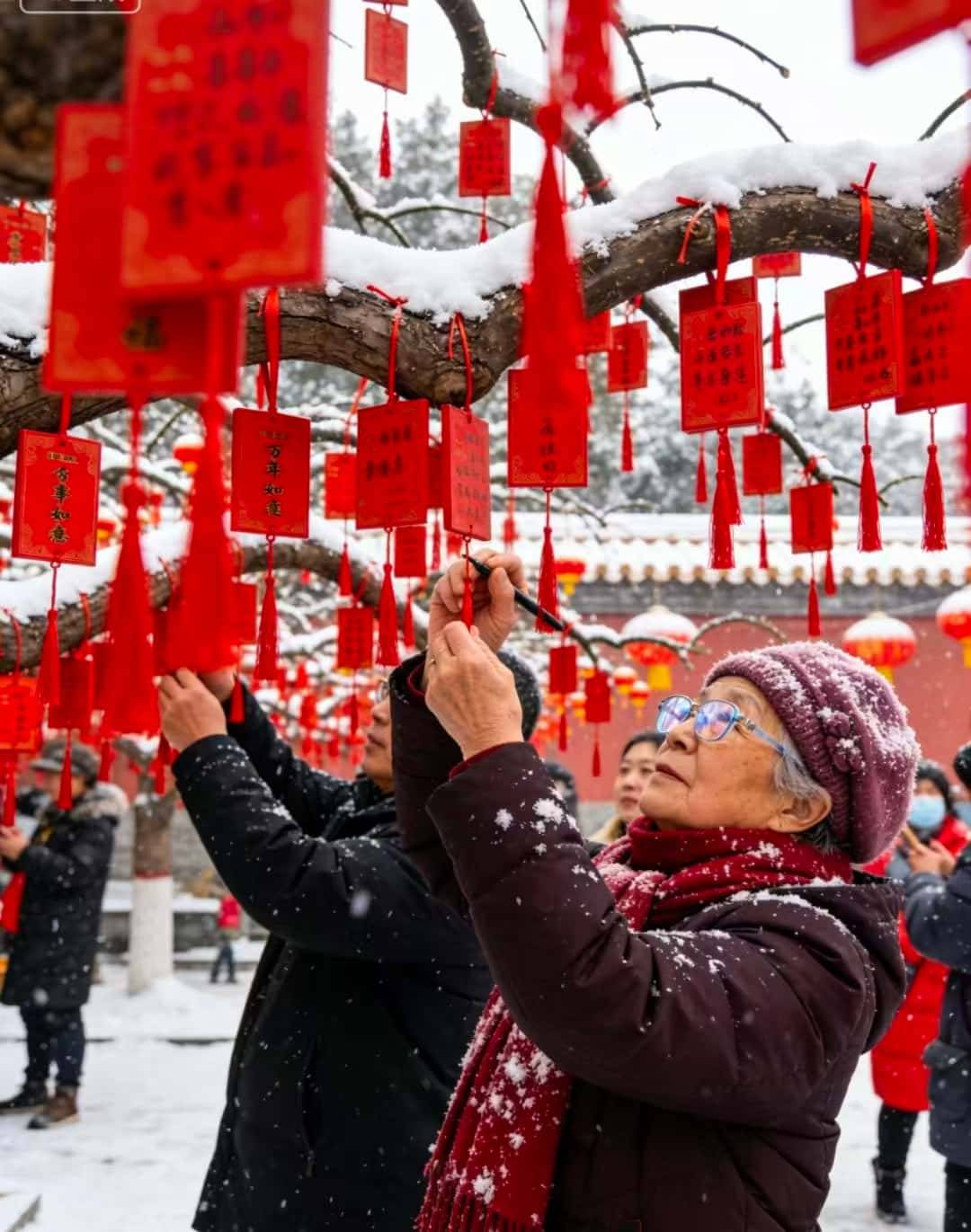 宫 + 国家博物馆深度游 靠谱避坑 + 